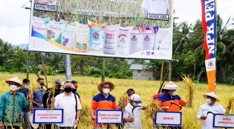 Bersama Pupuk Kaltim Rachmat Gobel Dorong Gorontalo Menjadi Lumbung Pangan Nasional